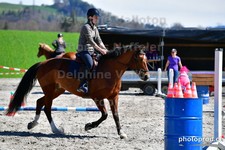 ref. photo 3088050