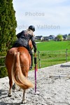 ref. photo 3088096