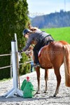ref. photo 3088099