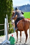 ref. photo 3088100