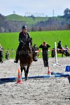 ref. photo 3088117