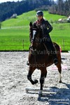 ref. photo 3088133
