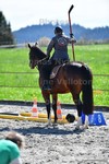 ref. photo 3088145