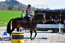 ref. photo 3088151
