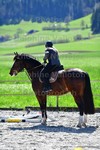 ref. photo 3088157