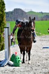 ref. photo 3088166