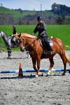 ref. photo 3088172
