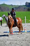 ref. photo 3088173
