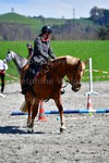 ref. photo 3088174