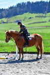 ref. photo 3088188
