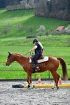 ref. photo 3088247