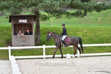 ref. photo 3088419