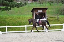 ref. photo 3088424