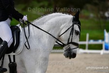 ref. photo 3088464
