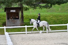 ref. photo 3088468