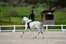ref. photo 3088478