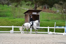 ref. photo 3088479