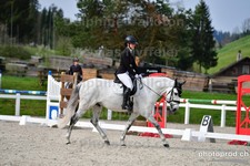 ref. photo 3088503