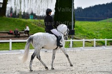 ref. photo 3088523