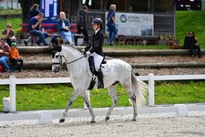 ref. photo 3088533