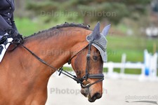 ref. photo 3088600