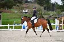 ref. photo 3088611