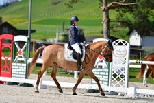 ref. photo 3088647