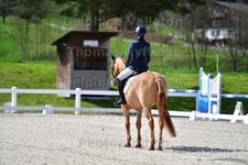 ref. photo 3088649