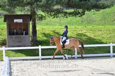 ref. photo 3088650