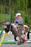 ref. photo 3088704