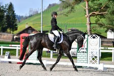 ref. photo 3088756