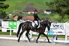ref. photo 3088757