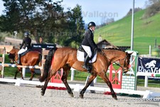 ref. photo 3088807