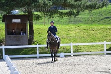 ref. photo 3088852