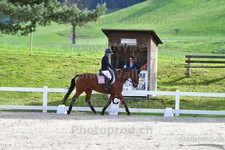 ref. photo 3088860