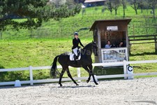 ref. photo 3088906