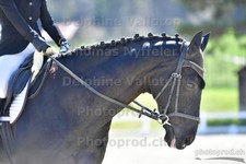 ref. photo 3088908