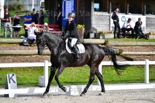 ref. photo 3088930