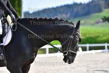 ref. photo 3088937