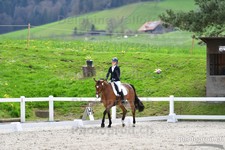 ref. photo 3088942