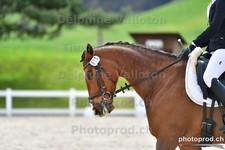ref. photo 3088947
