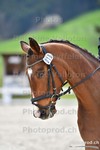 ref. photo 3088948