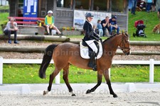 ref. photo 3088952