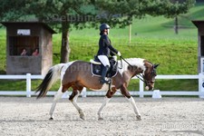 ref. photo 3088991