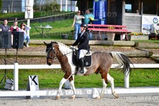 ref. photo 3088994