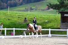 ref. photo 3088996
