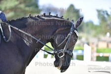 ref. photo 3089007