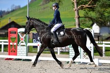 ref. photo 3089012