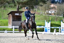 ref. photo 3089018