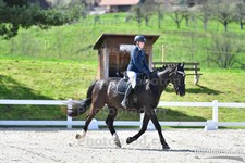 ref. photo 3089039